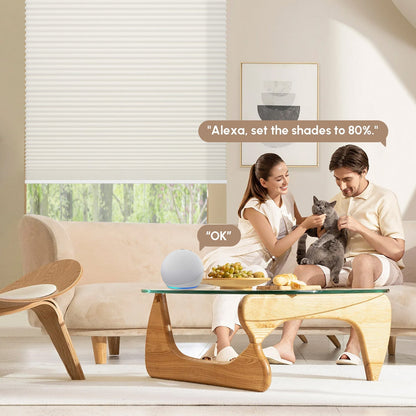 Kincmo Light Filtering Motorized Cellular Shades