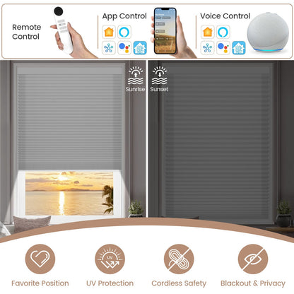 Kincmo Light Filtering Motorized Cellular Shades | Double-Cell